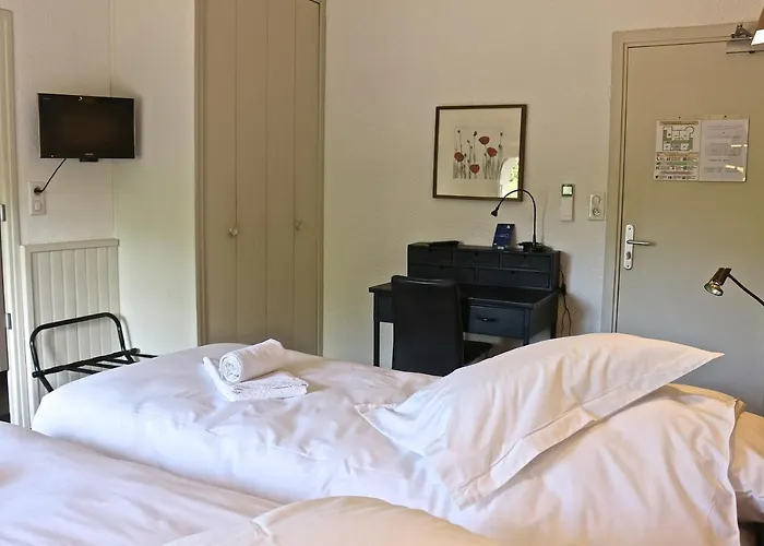 De De La Vignasse Chandolas